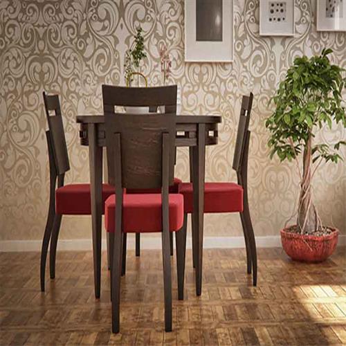 سرویس غذاخوری رومینا صبا